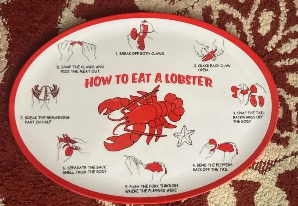 HOW TO EAT A LOBSTER Plastic Set Of 2 Plates/Trays Melamine Plastic 7 Steps! S7